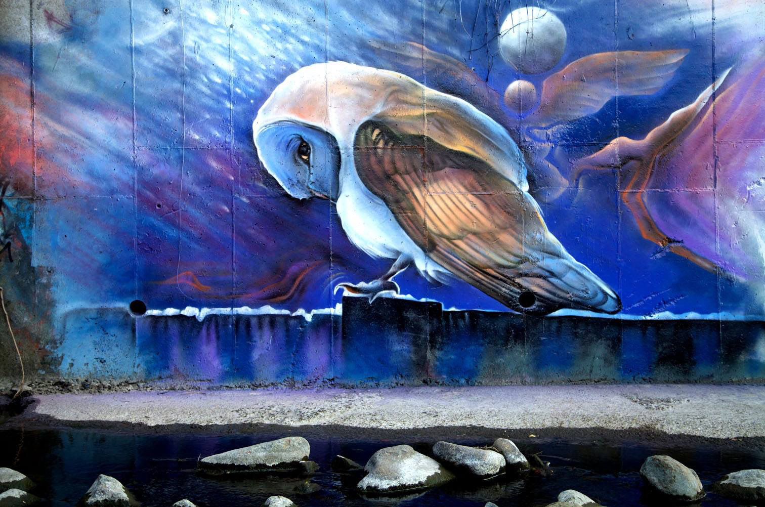 Wall art by Jake Stevens