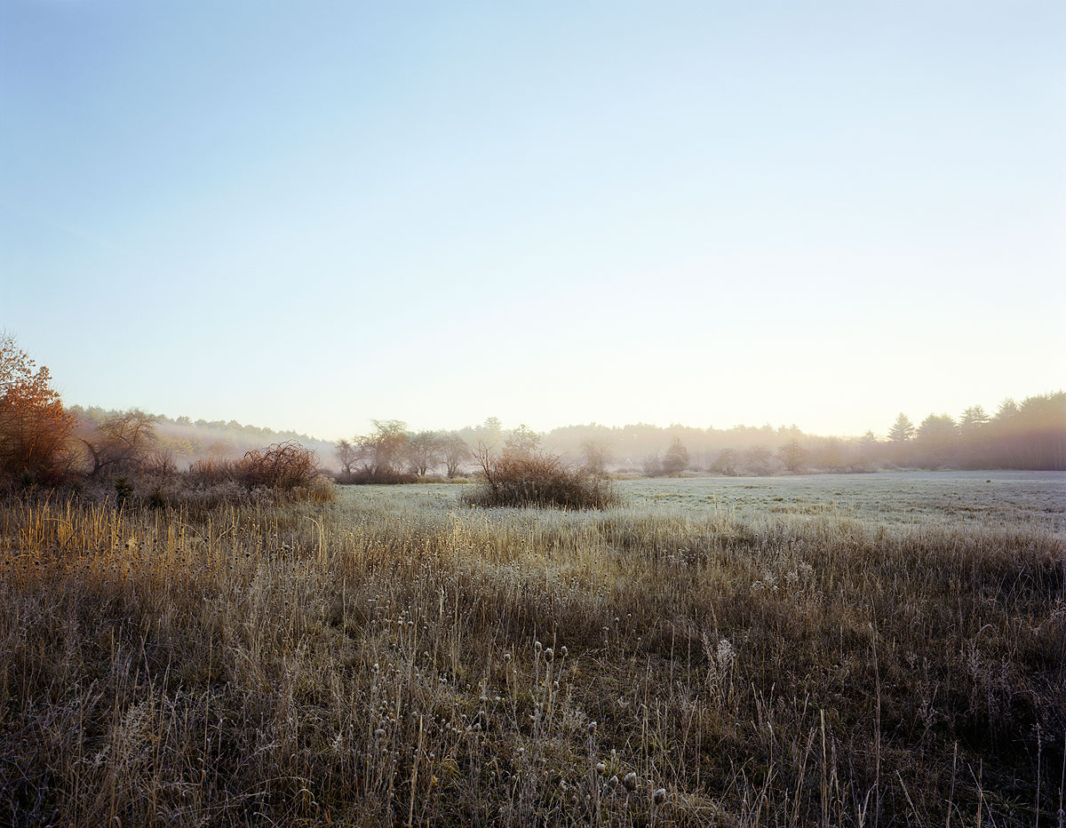Untitled, 2003, by Barbara Bosworth.