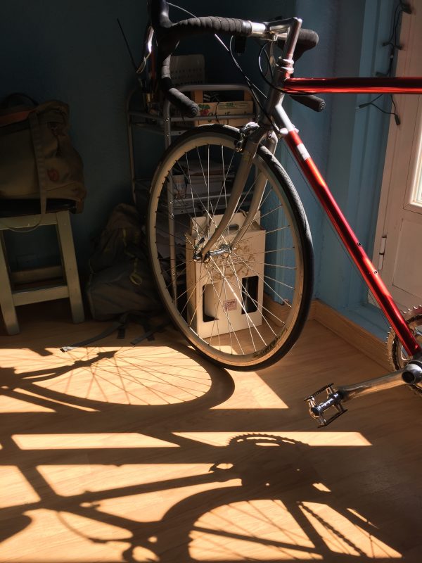The vitus and her shadows