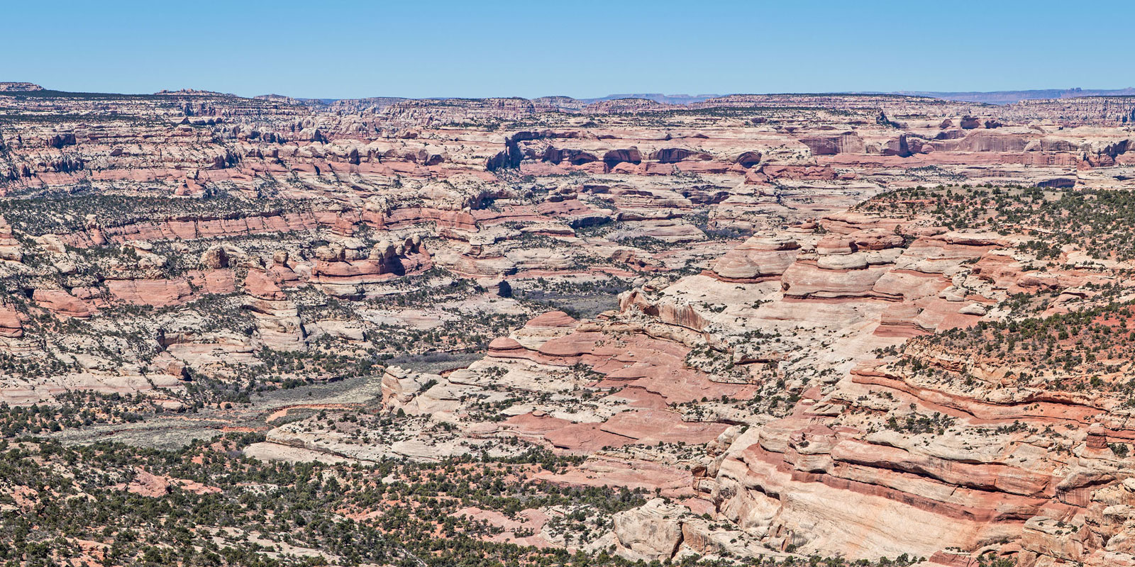 Salt Creek Canyon
