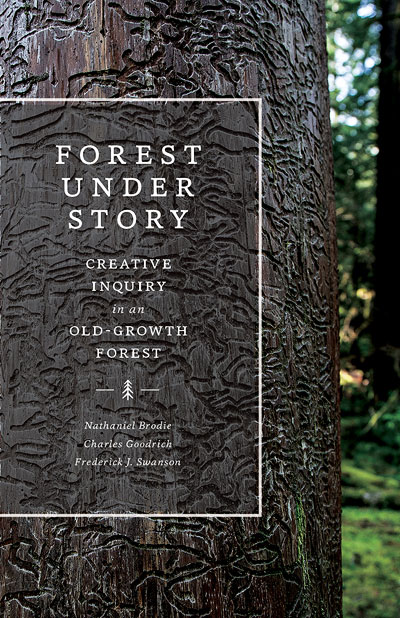 Forest Under Story
