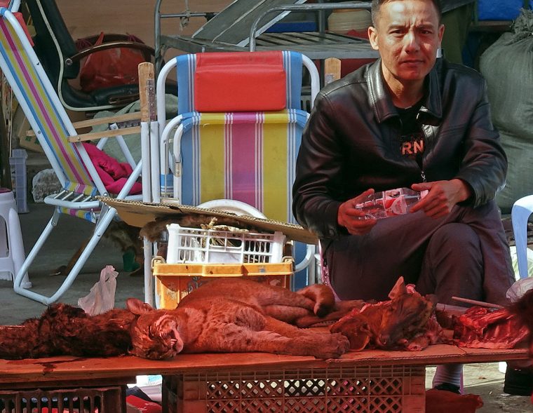 Mongla market vendor with animals.