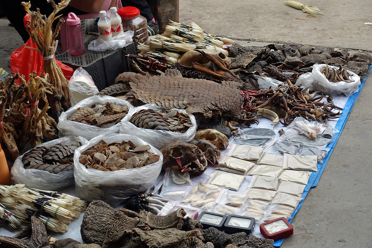 Mongla market animal parts.