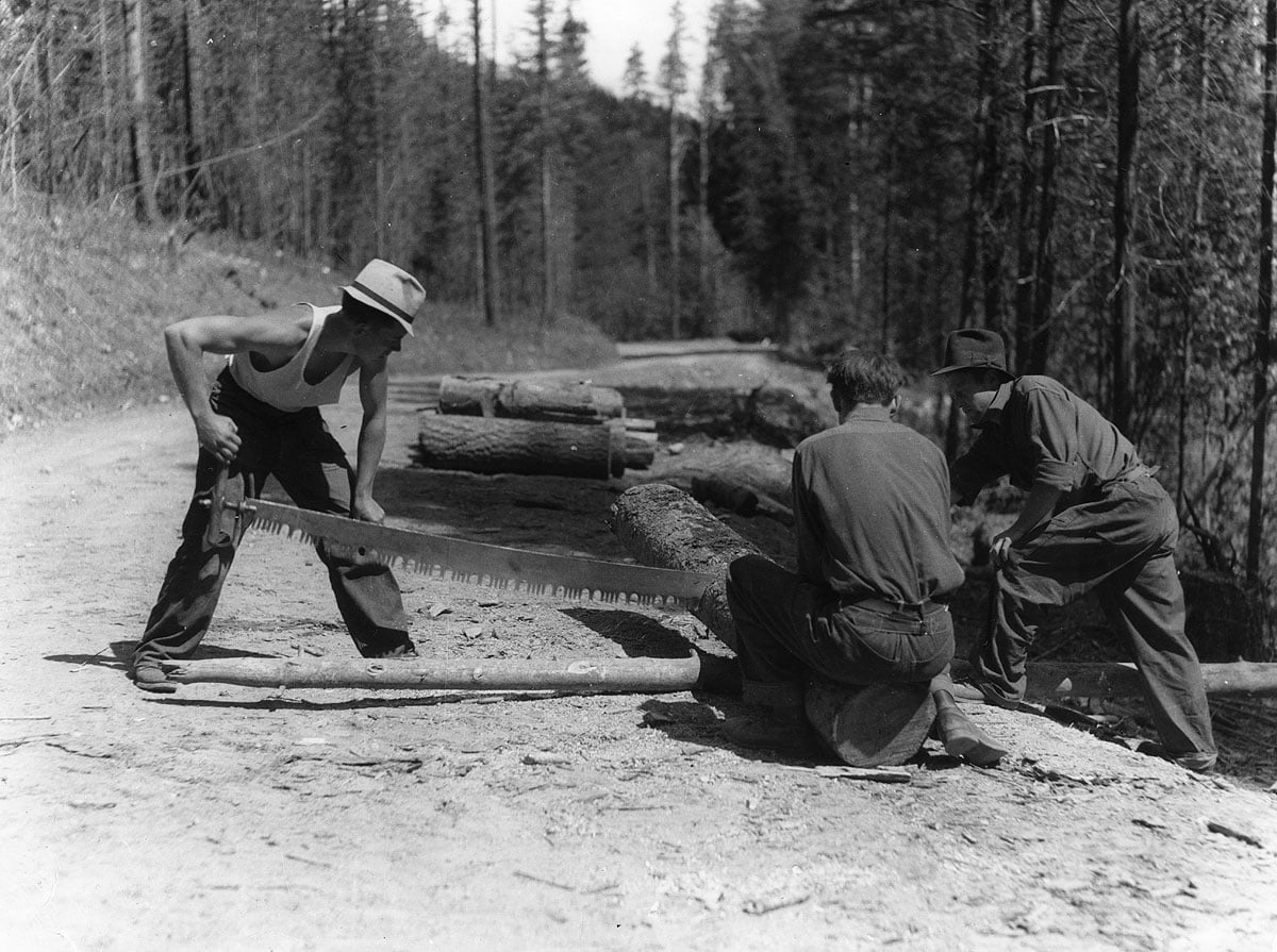 CCC crosscut saw work