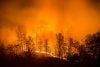 Wildfire