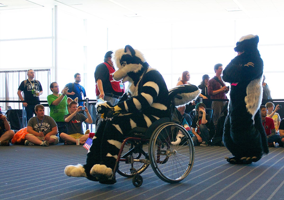 Furries in airport