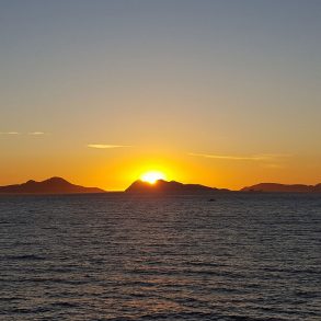 One Poem by Susan J. Erickson