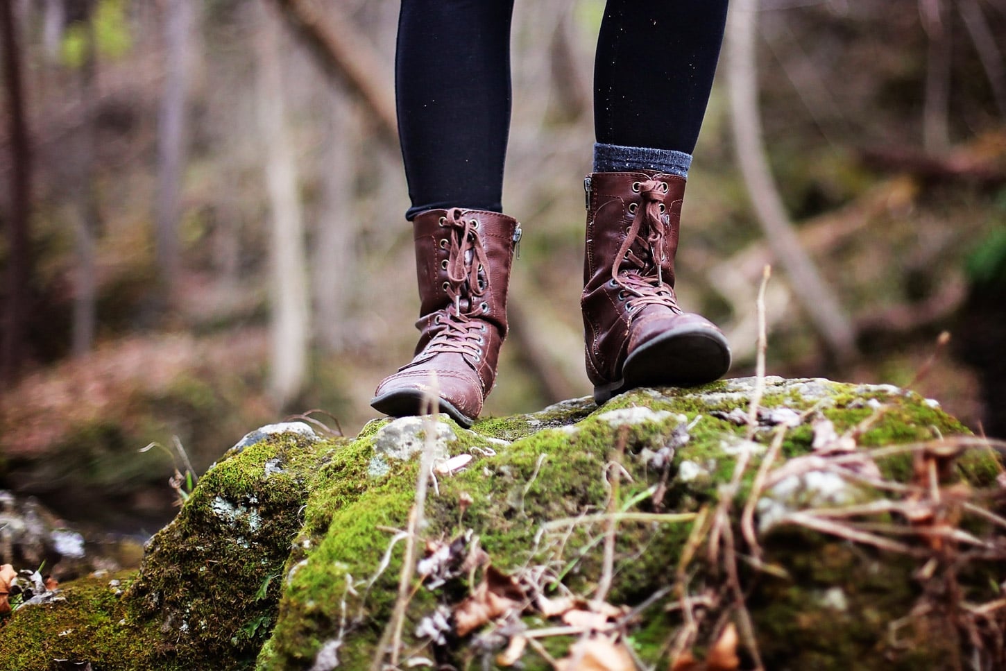 A Good Hike, by Camille T. Dungy