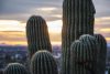 Remembering Origins, fiction by Susan Feathers