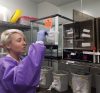 A Life of Science: Travel Bug, by Genevieve Comeau