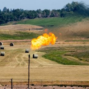 Letter to America, by Dave Rintoul