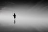 The New World, essay by Bryan Walpert