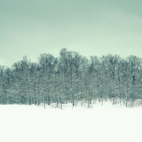 Letter to America: One Poem by Cynthia Huntington