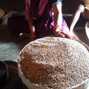 A Life of Science: Identity and Environmental Politics in Rainfed India, by Carly Nichols