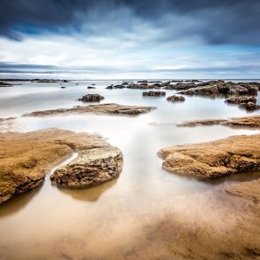 Five Poems by Eric Pankey