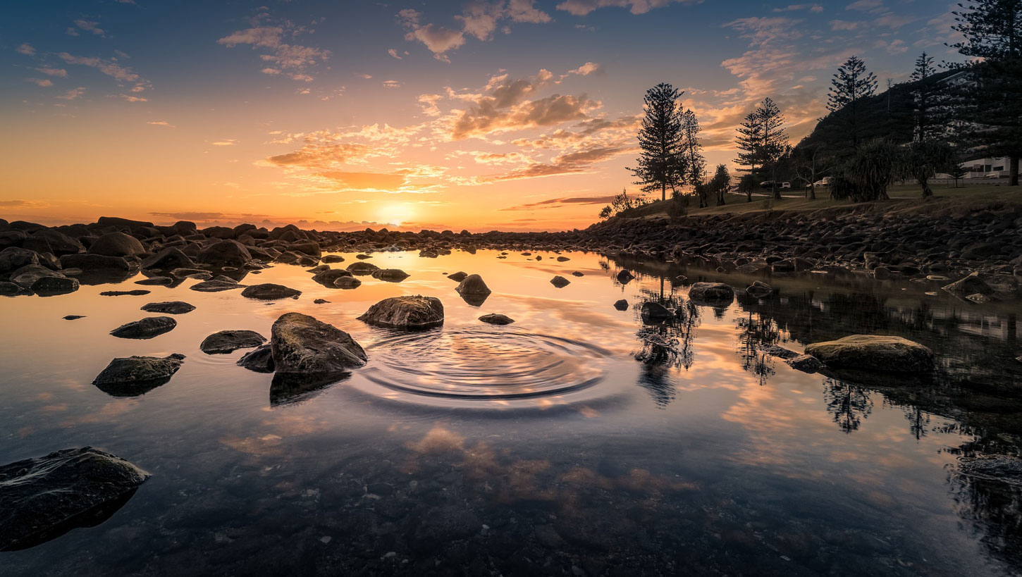 The Stilled Ring: Fiction by Luther Allen