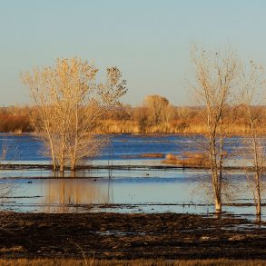 Two Poems by Arthur Sze