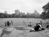 Central Park: Photographs by Lauren Henkin