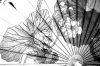 Charging the Through Line: An Interview with Arthur Sze