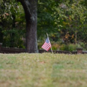 Letter to America, by Erin Malone