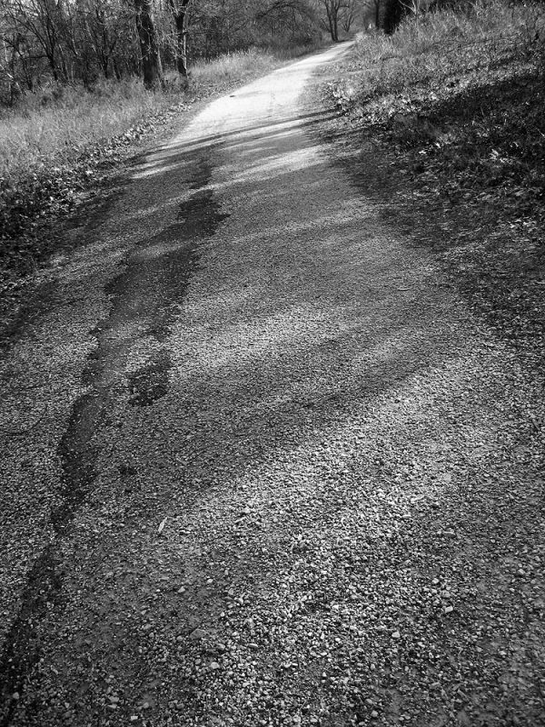 A path that parallels the Meramec River in Route 66 State Park. Photo by Jennie Goode.