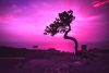 Three Poems by Jeanne Larsen
