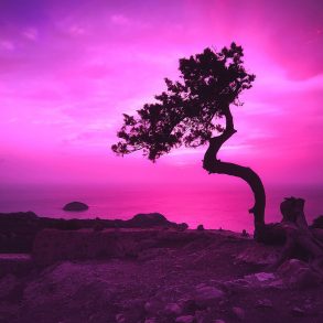 Three Poems by Jeanne Larsen