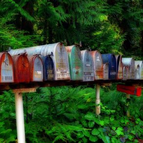 Letter to America, by Bob Ferguson