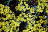 Old Roads, New Stories: Environmental Clean-Up, by Rob Carney