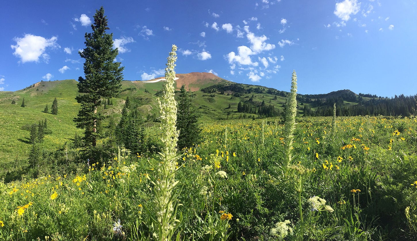 A Life of Science: Extreme Gardening in the Rocky Mountains, by Lorah Patterson