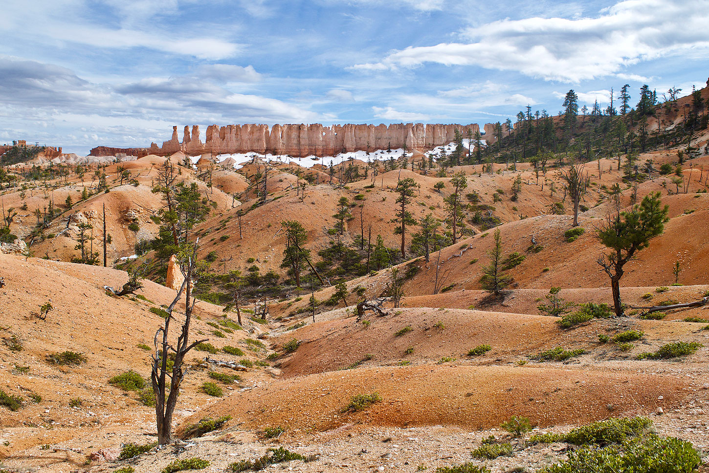 Bryce Canyon Epithalamium: Photo by Joel Long