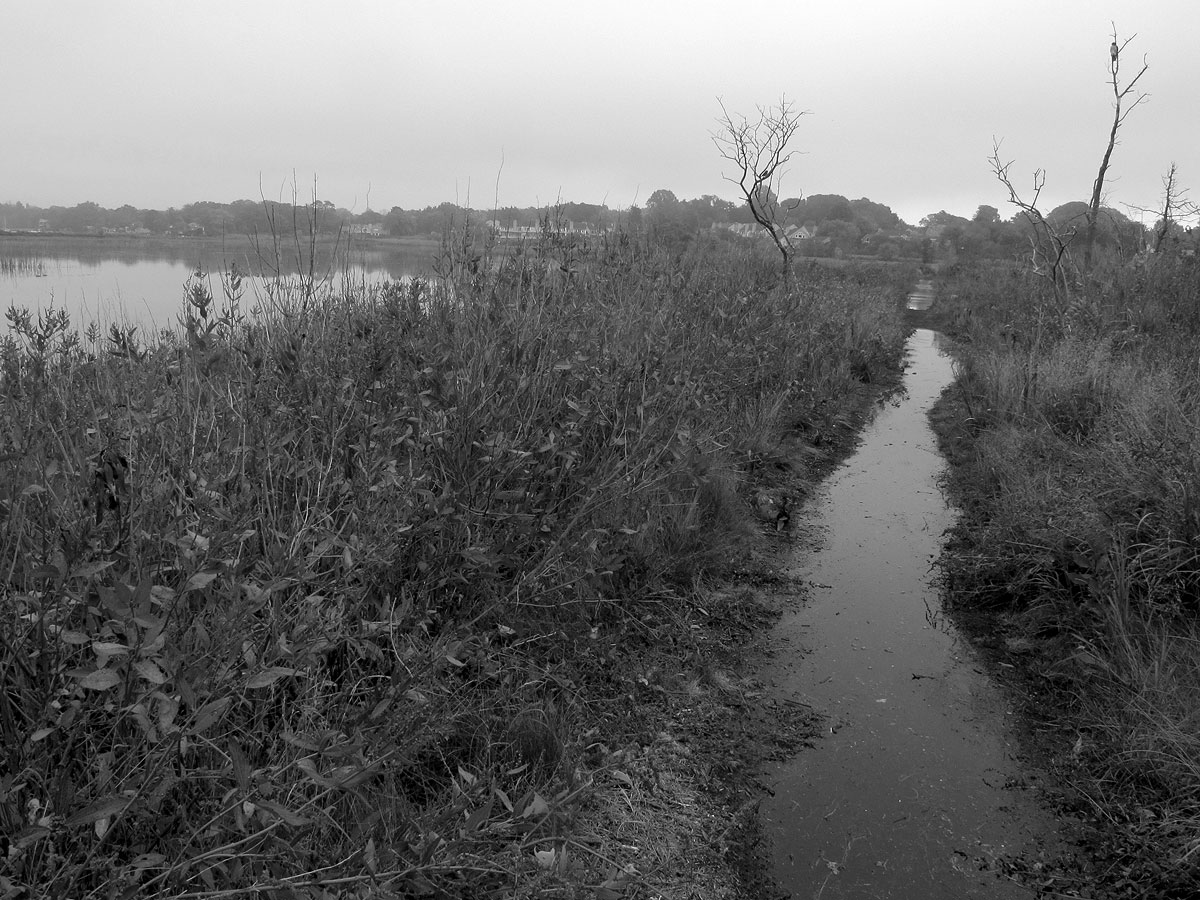 The path at Jacob's Point. Photo by Elizabeth Rush.