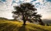 Best Hardly Known Nature Books: Recommended Reads by Chip Blake