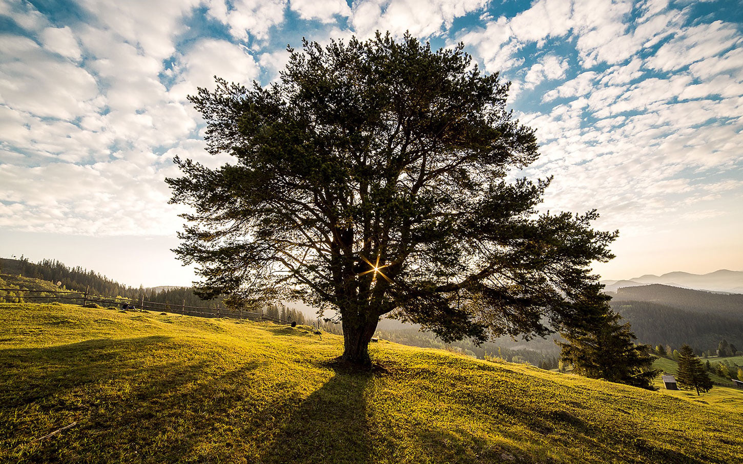 Best Hardly Known Nature Books: Recommended Reads by Chip Blake