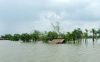 A Life of Science: The Human Story of Transformation in Coastal Bangladesh by Saleh Ahmed