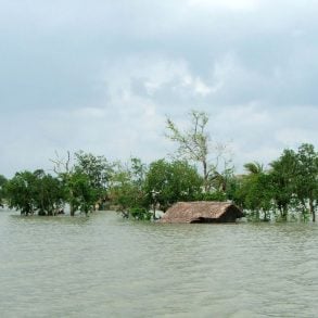 A Life of Science: The Human Story of Transformation in Coastal Bangladesh by Saleh Ahmed
