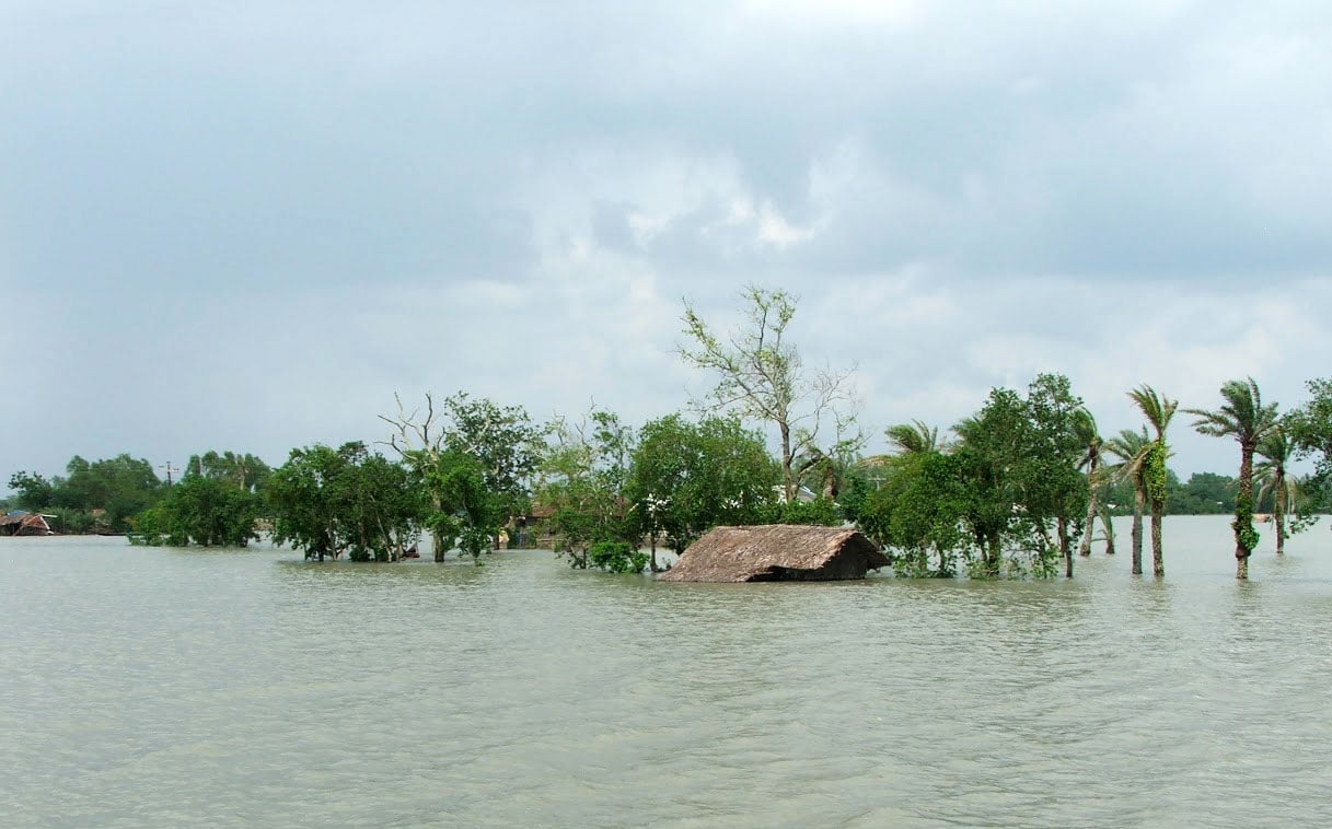 A Life of Science: The Human Story of Transformation in Coastal Bangladesh by Saleh Ahmed