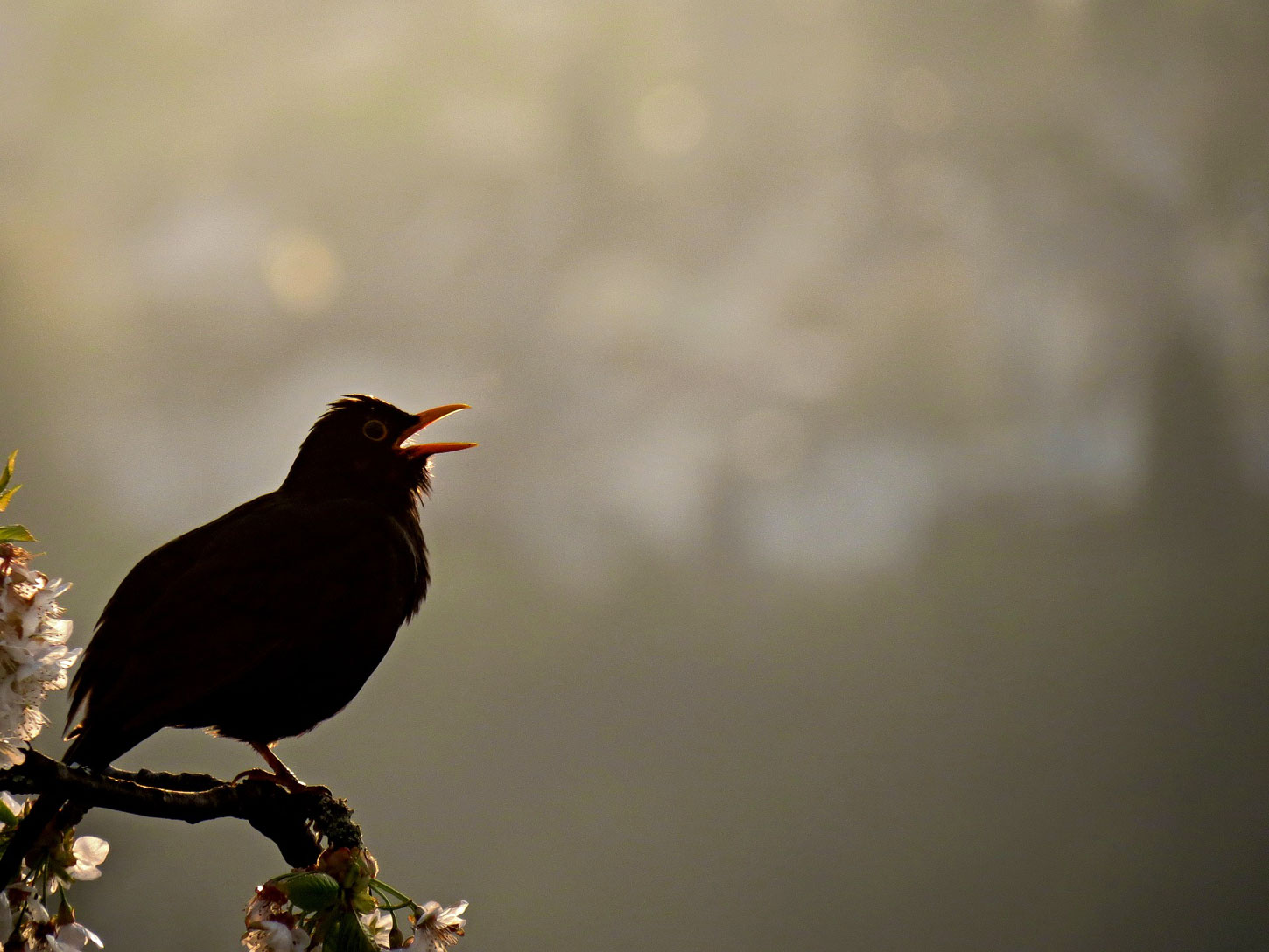 Old Roads, New Stories: In the Beginning was the Word, by Rob Carney