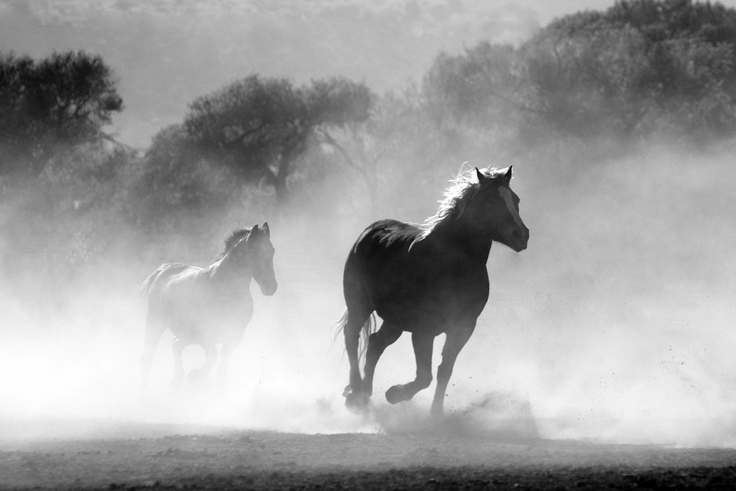 Three Poems in English and Swedish by Ingela Strandberg
