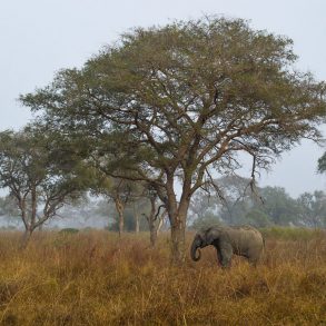 No Entry by Gila Green