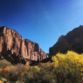 Transforming Art Into Action at the University of the Parks by Danielle Beazer Dubrasky