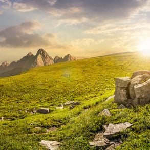 Six Poems by Robert Morgan