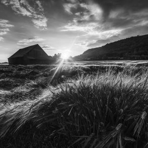 Letter to America: Poem by Sandra Meek