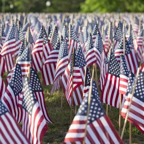 Letter to America: Poem by Tina Schumann