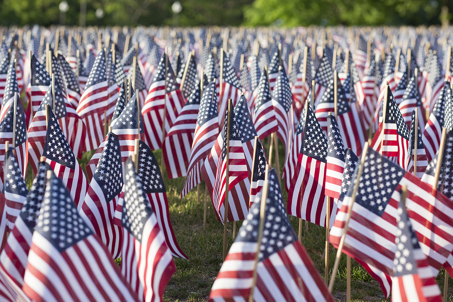 Letter to America: Poem by Tina Schumann