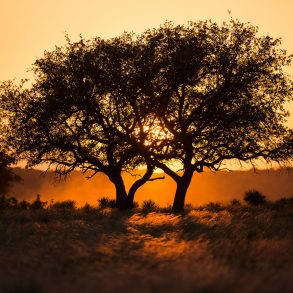 Three Poems by John Poch with Photos by Jerod Foster