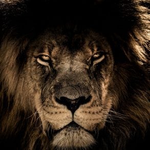 Thomas Jefferson's Monster, by B.J. Hollars