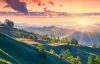 Sunrise over hills with trees