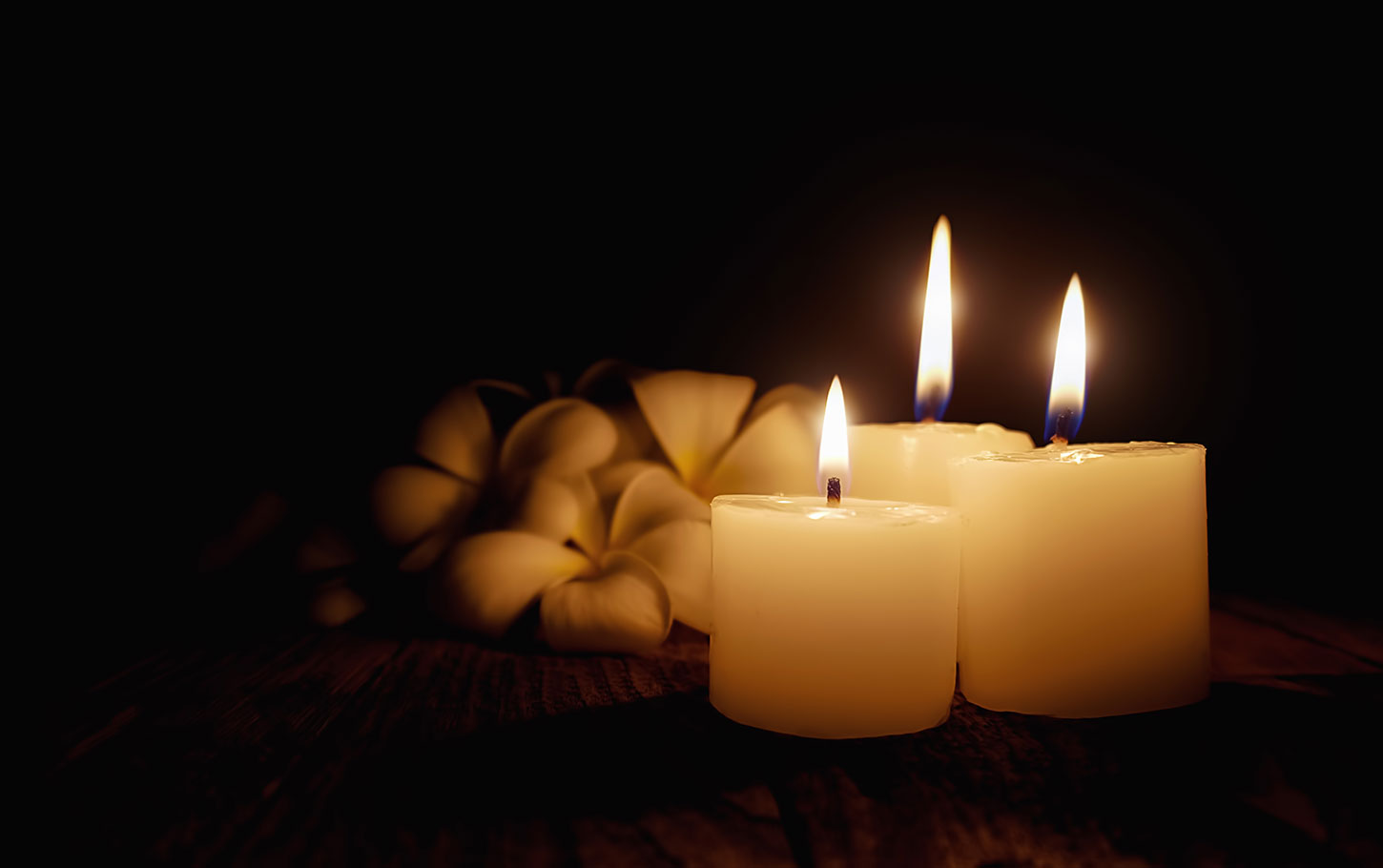 Three Poems by Jane Lovel, Winner of the Terrain.org 9th Annual Contest in Poetry
