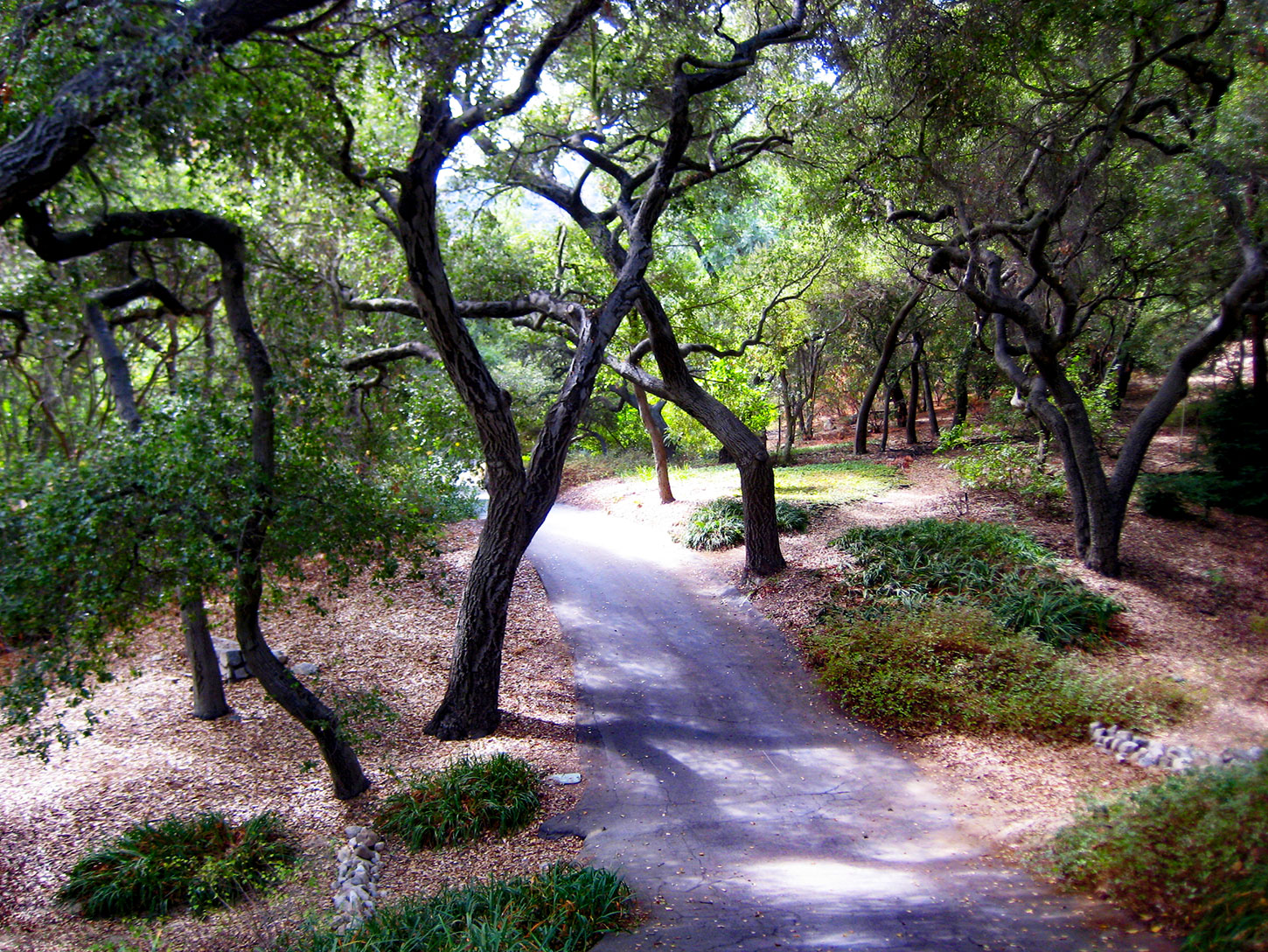 Descanso Gardens